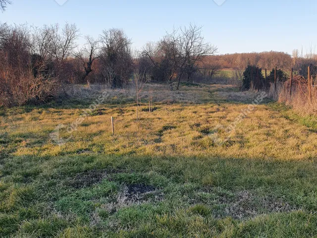 Eladó ház Lakócsa 80 nm