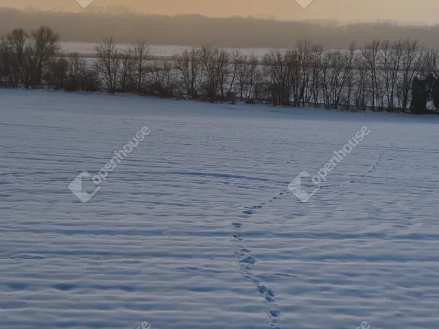 Eladó telek Öreglak 3367 nm