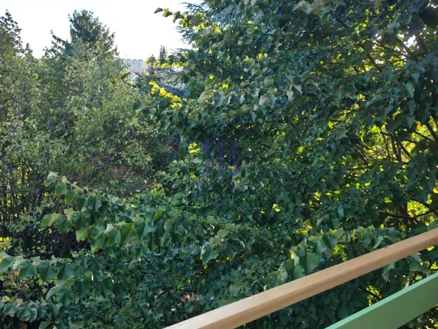 Kiadó lakás Budapest XI. kerület, Sasadi köz 54 nm