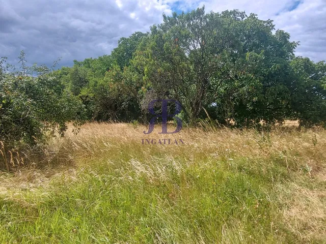 Eladó telek Gárdony, Mandula út 915 nm