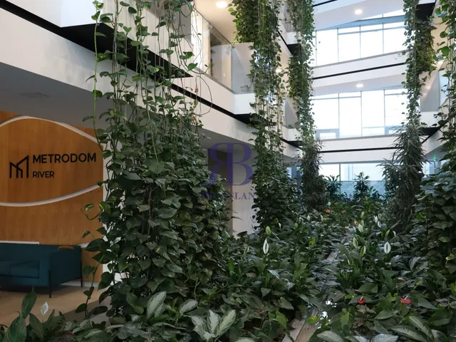 Kiadó lakás Budapest XI. kerület, Budafoki út 41 nm