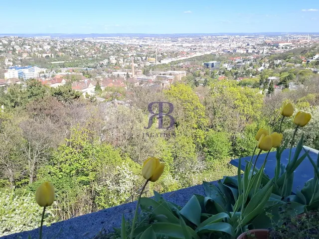 Kiadó lakás Budapest XII. kerület, Zsolna utca 85 nm