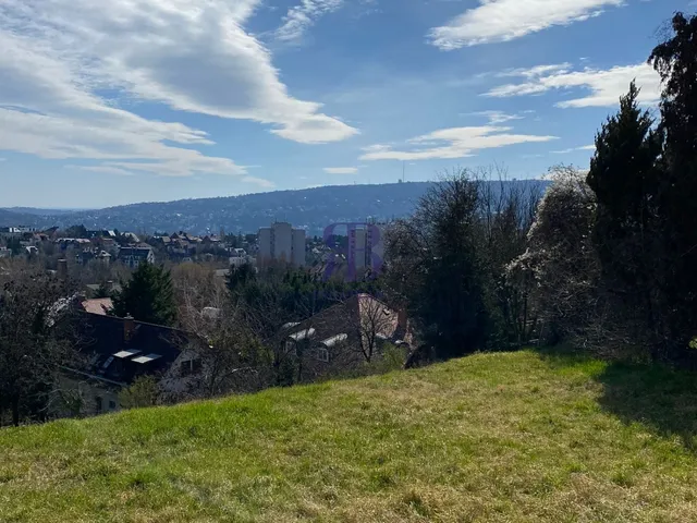 Kiadó ház Budapest II. kerület, Ruthén út 300 nm