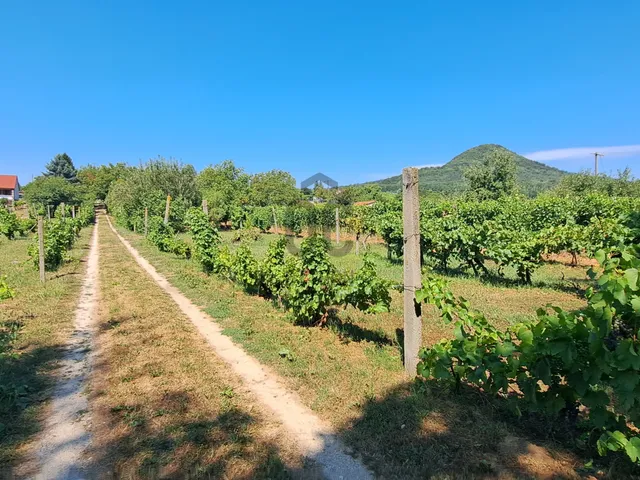 Eladó ház Badacsonytomaj 50 nm