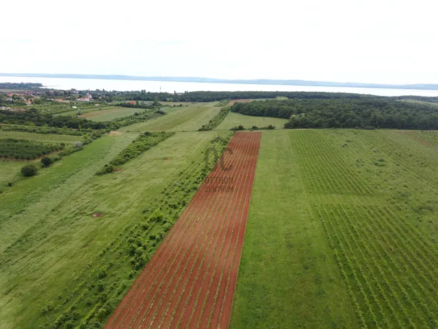 Eladó mezőgazdasági ingatlan Zánka 6350 nm