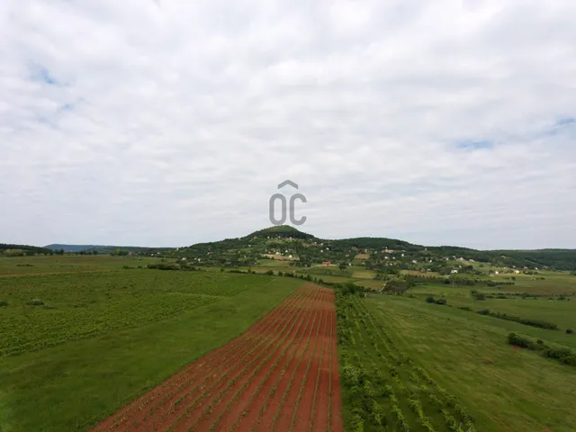 Eladó mezőgazdasági ingatlan Zánka 6350 nm