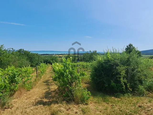 Eladó telek Tagyon 4887 nm