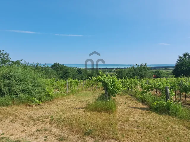 Eladó telek Tagyon 4887 nm