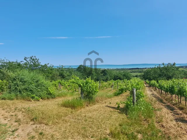 Eladó telek Tagyon 4887 nm