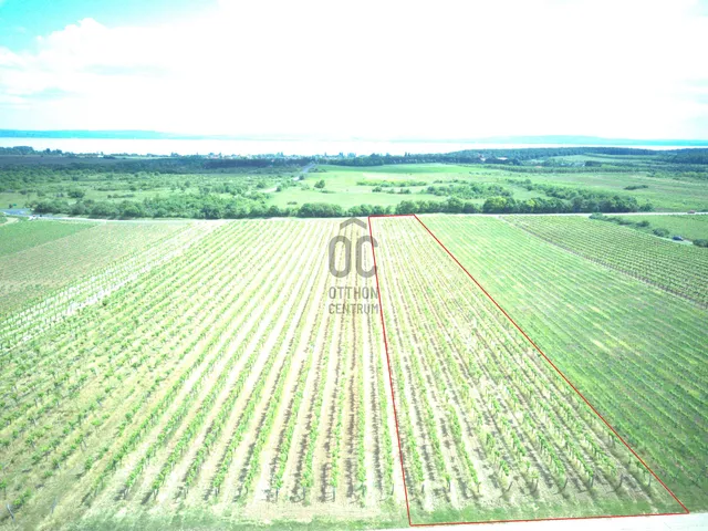 Eladó mezőgazdasági ingatlan Tagyon 7886 nm