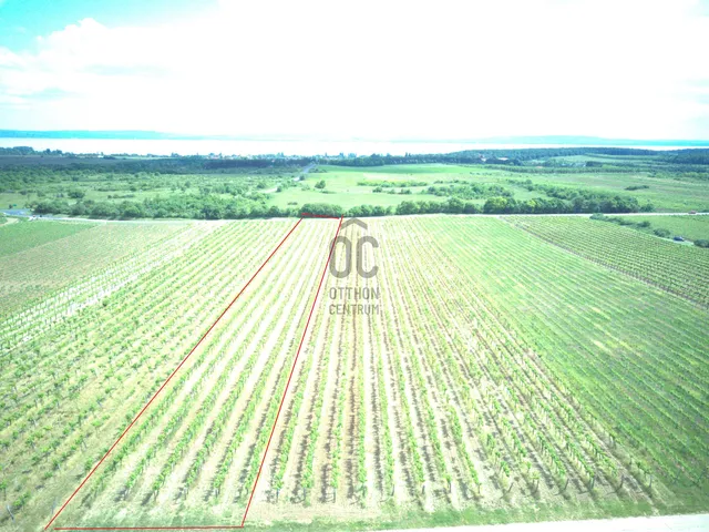 Eladó mezőgazdasági ingatlan Tagyon 4411 nm