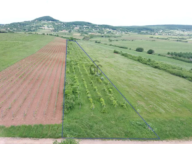 Eladó mezőgazdasági ingatlan Zánka 6350 nm