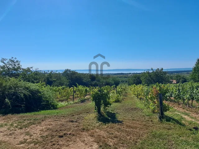 Eladó telek Tagyon 4887 nm