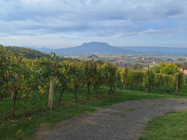 Eladó mezőgazdasági ingatlan Gyulakeszi 4511 nm