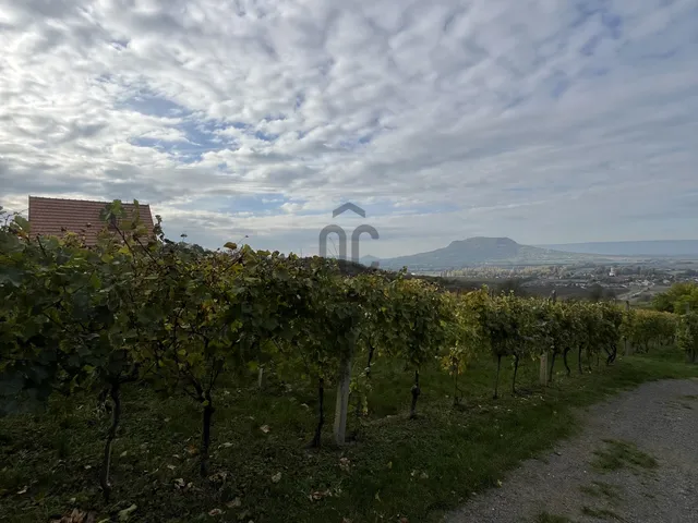 Eladó mezőgazdasági ingatlan Gyulakeszi 4511 nm