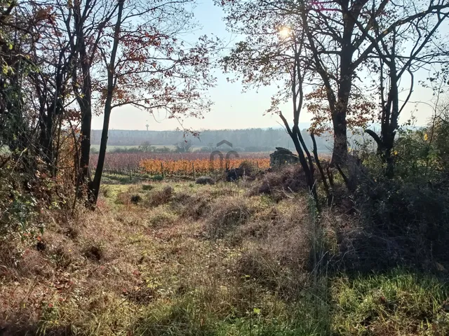 Eladó üdülő és hétvégi ház Dörgicse 56 nm