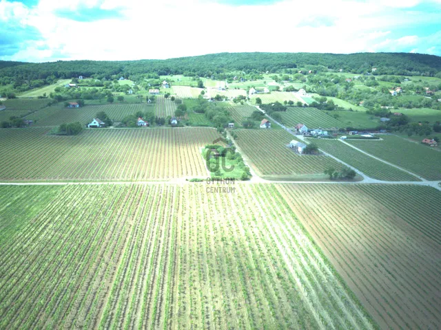 Eladó mezőgazdasági ingatlan Tagyon 7886 nm