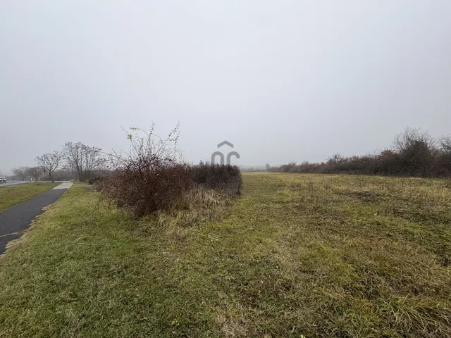 Eladó mezőgazdasági ingatlan Balatonakali 8676 nm