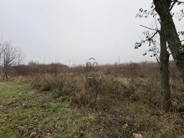 Eladó mezőgazdasági ingatlan Balatonakali 8676 nm