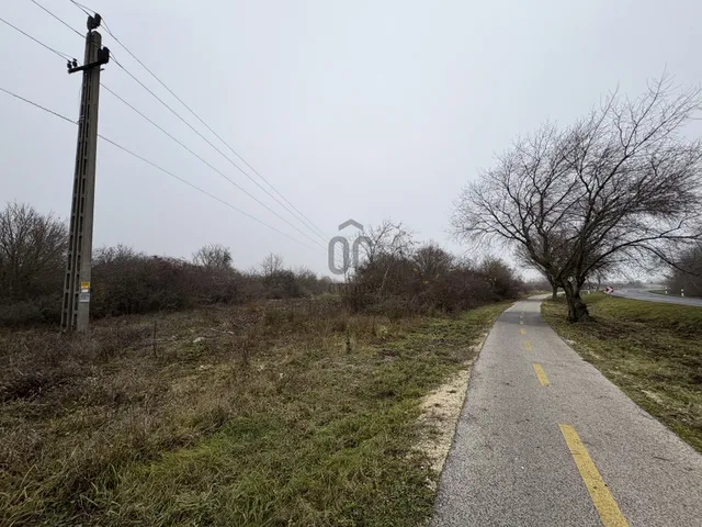 Eladó mezőgazdasági ingatlan Balatonakali 8676 nm