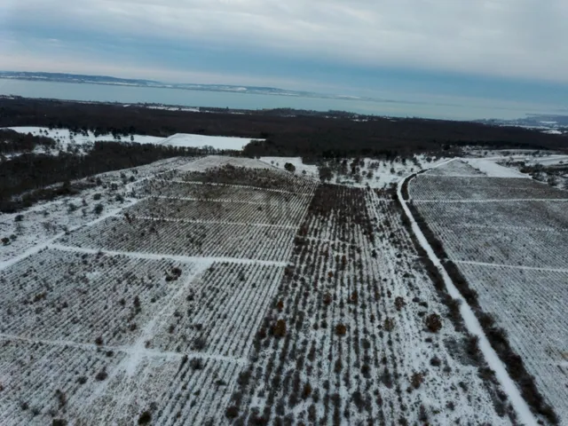 Eladó telek Dörgicse 29350 nm