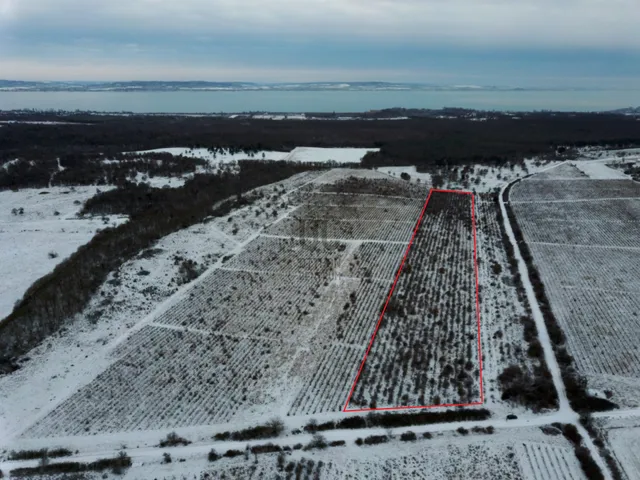 Eladó telek Dörgicse 29350 nm