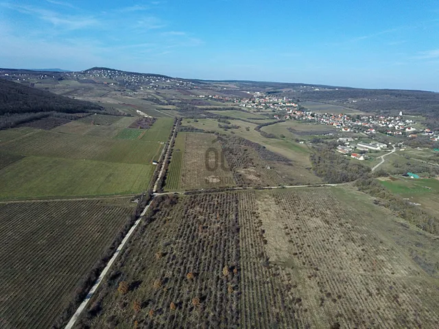 Eladó telek Dörgicse 29350 nm