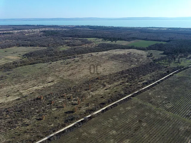 Eladó telek Dörgicse 29350 nm