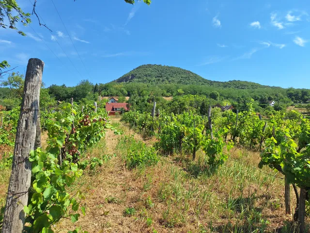 Eladó telek Nemesgulács 1213 nm