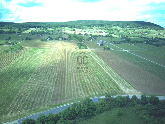 Eladó mezőgazdasági ingatlan Tagyon 12297 nm