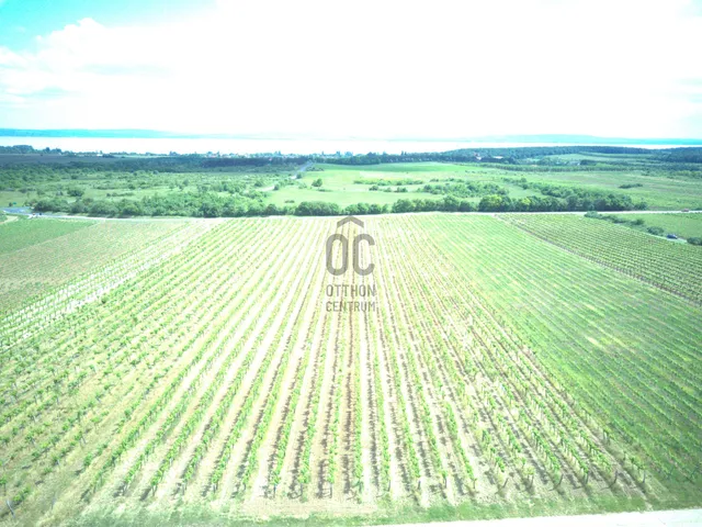 Eladó mezőgazdasági ingatlan Tagyon 12297 nm