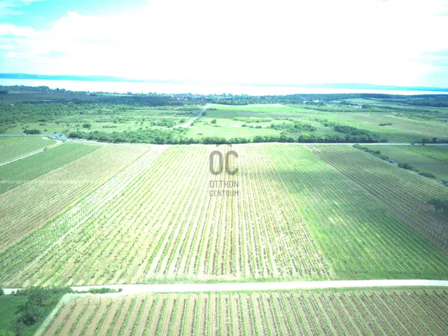 Eladó mezőgazdasági ingatlan Tagyon 12297 nm