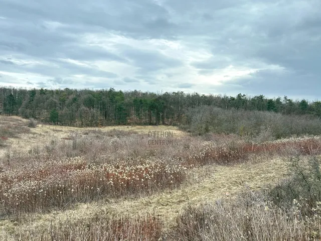 Eladó telek Dörgicse 60251 nm