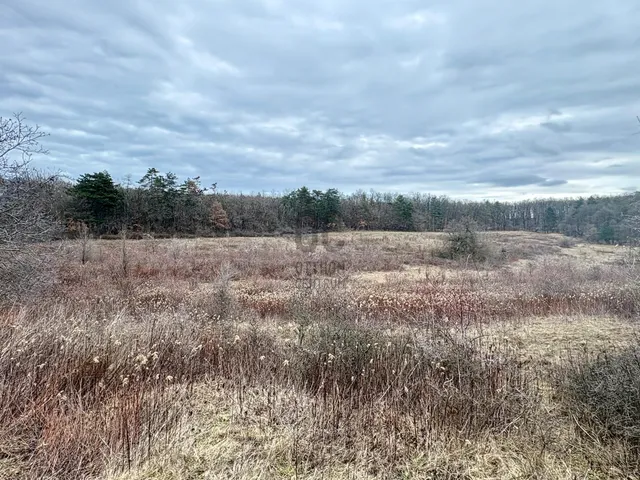 Eladó telek Dörgicse 60251 nm