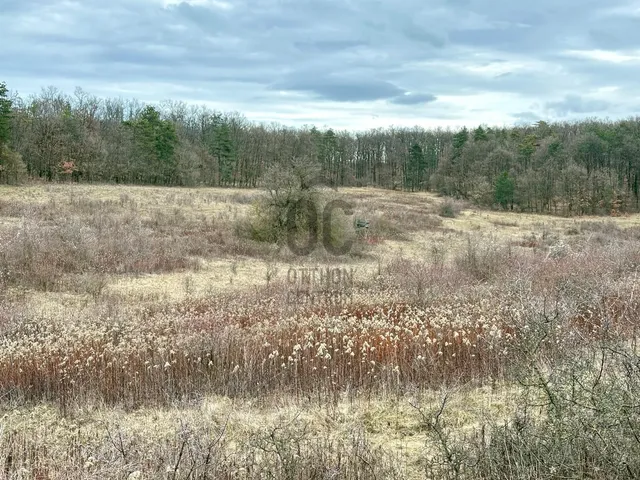 Eladó telek Dörgicse 60251 nm