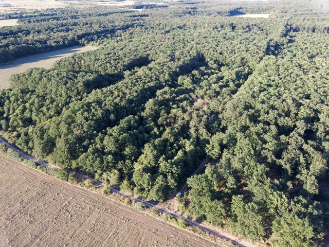 Eladó mezőgazdasági ingatlan Kővágóörs 22375 nm