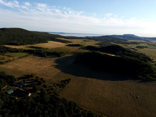 Eladó mezőgazdasági ingatlan Kővágóörs 22375 nm