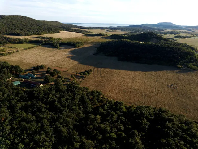 Eladó mezőgazdasági ingatlan Kővágóörs 22375 nm