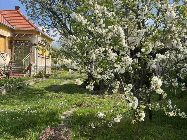 Eladó ház Gyulakeszi 103 nm