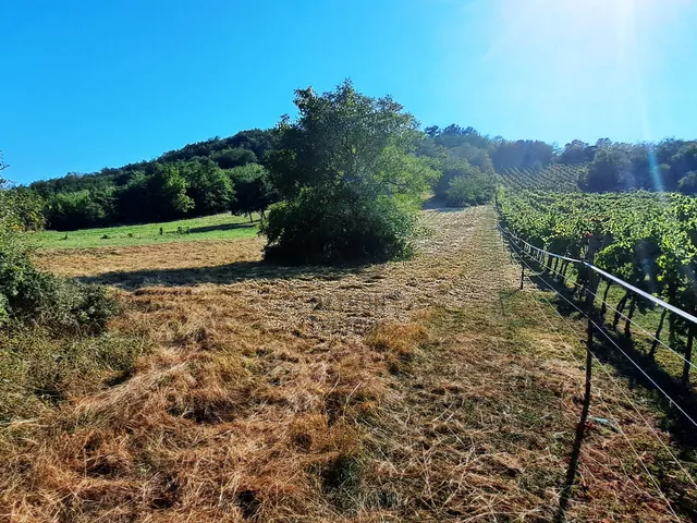 Eladó üdülő és hétvégi ház Káptalantóti 35 nm