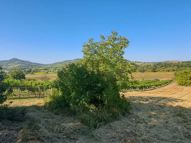 Eladó üdülő és hétvégi ház Káptalantóti 35 nm