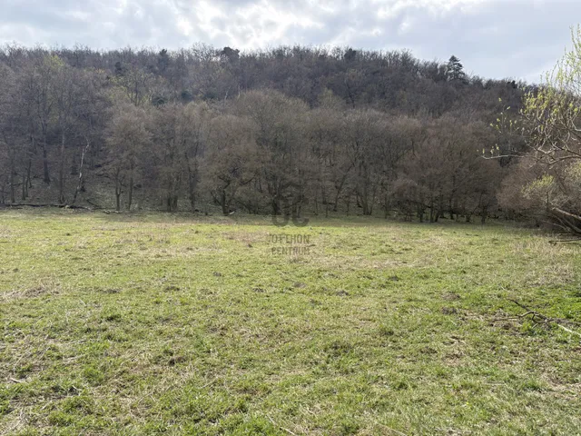 Eladó mezőgazdasági ingatlan Vászoly 7096 nm