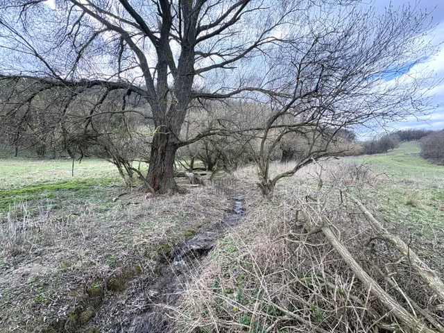 Eladó mezőgazdasági ingatlan Vászoly 7096 nm