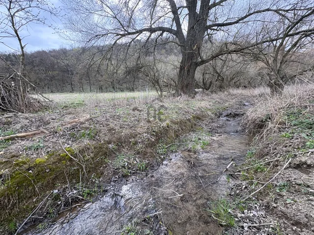 Eladó mezőgazdasági ingatlan Vászoly 7096 nm