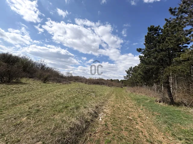 Eladó mezőgazdasági ingatlan Vászoly 17052 nm