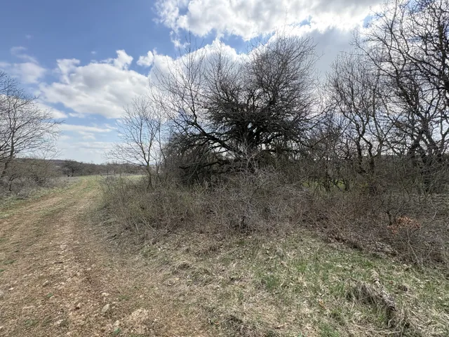 Eladó mezőgazdasági ingatlan Vászoly 17052 nm