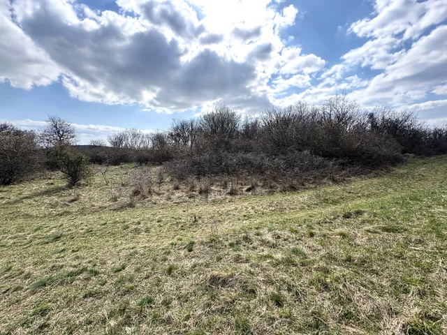 Eladó mezőgazdasági ingatlan Vászoly 17052 nm