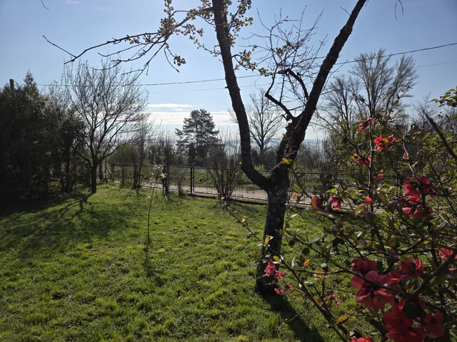 Eladó üdülő és hétvégi ház Kővágóörs 65 nm