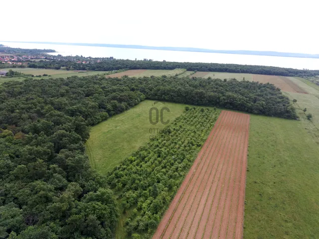 Eladó mezőgazdasági ingatlan Zánka 7016 nm