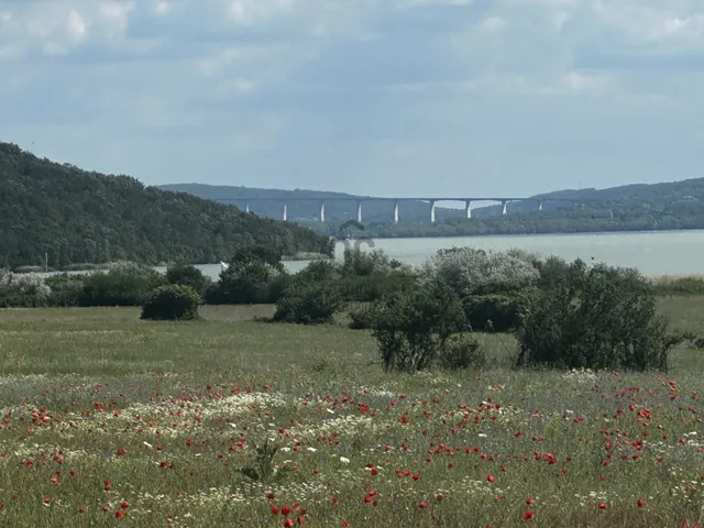 Eladó ház Aszófő 220 nm